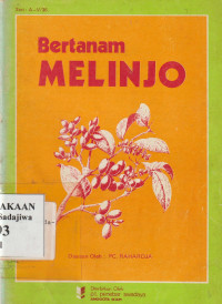 Image of Bertanam Melinjo